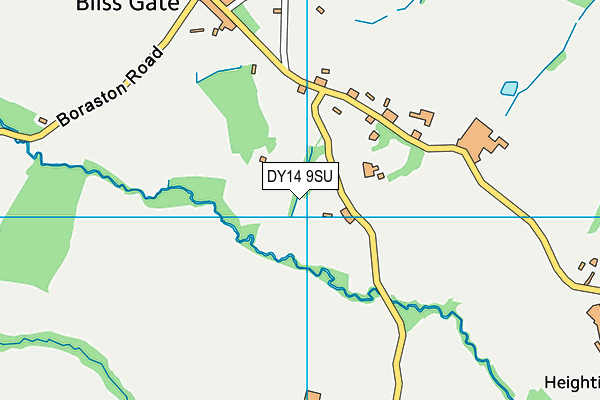 DY14 9SU map - OS VectorMap District (Ordnance Survey)
