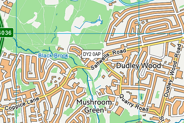DY2 0AP map - OS VectorMap District (Ordnance Survey)