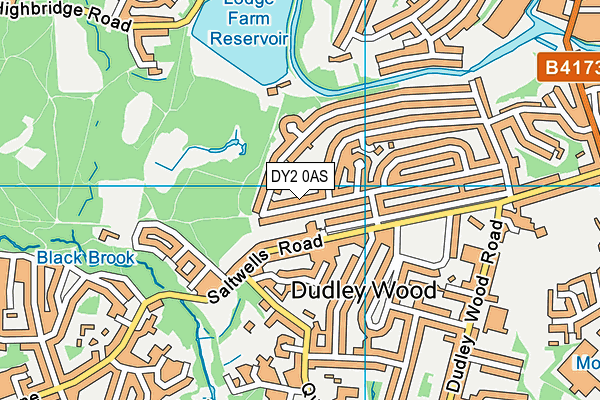 DY2 0AS map - OS VectorMap District (Ordnance Survey)