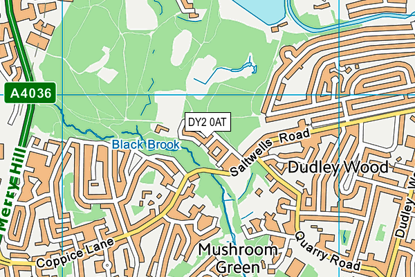 DY2 0AT map - OS VectorMap District (Ordnance Survey)
