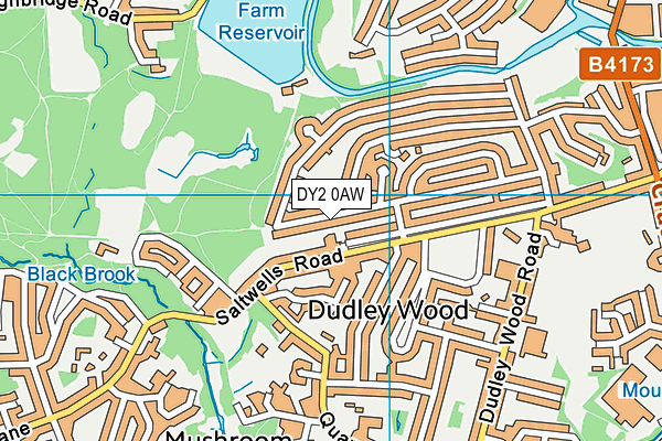 DY2 0AW map - OS VectorMap District (Ordnance Survey)