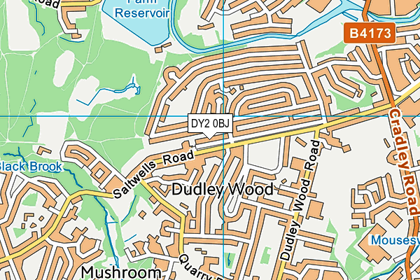 DY2 0BJ map - OS VectorMap District (Ordnance Survey)
