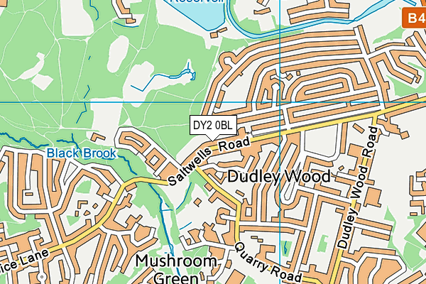 DY2 0BL map - OS VectorMap District (Ordnance Survey)