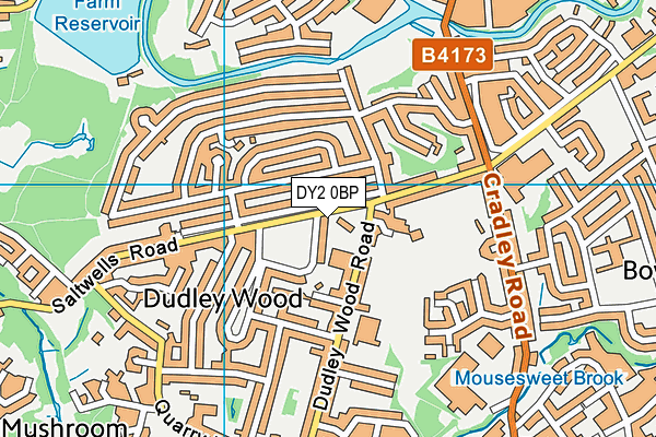 DY2 0BP map - OS VectorMap District (Ordnance Survey)