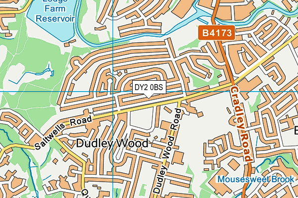 DY2 0BS map - OS VectorMap District (Ordnance Survey)