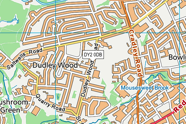 Dudley Wood Primary School map (DY2 0DB) - OS VectorMap District (Ordnance Survey)