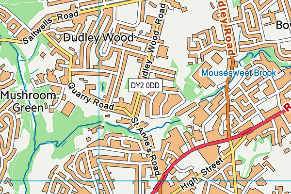 DY2 0DD map - OS VectorMap District (Ordnance Survey)