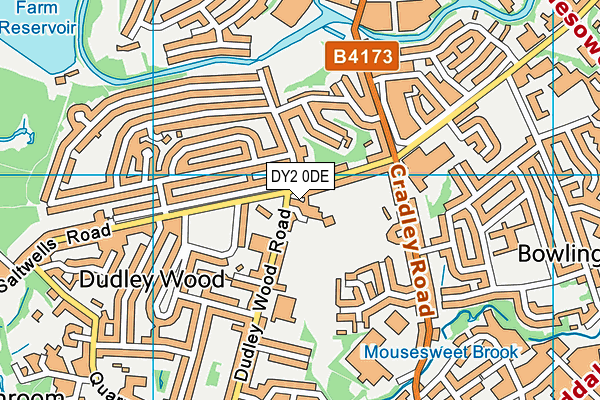 DY2 0DE map - OS VectorMap District (Ordnance Survey)