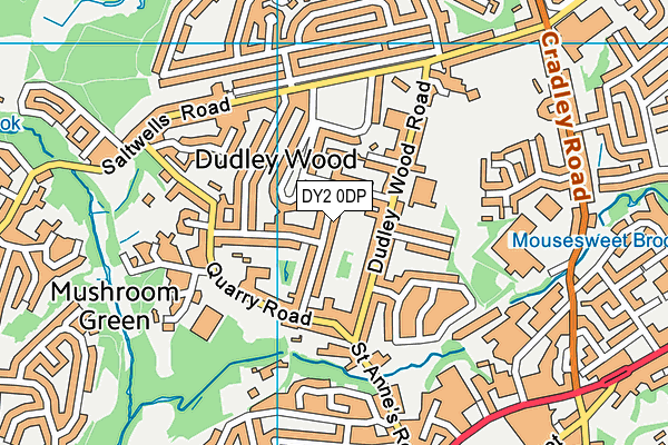 DY2 0DP map - OS VectorMap District (Ordnance Survey)