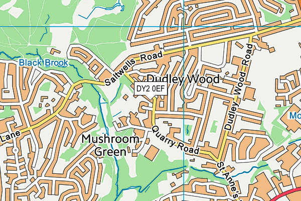 DY2 0EF map - OS VectorMap District (Ordnance Survey)