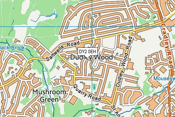 DY2 0EH map - OS VectorMap District (Ordnance Survey)
