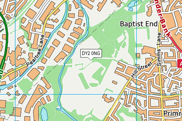 DY2 0NG map - OS VectorMap District (Ordnance Survey)