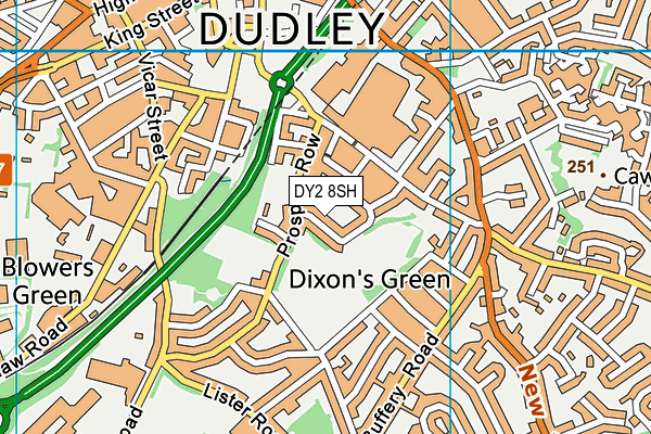 Buffery Park map (DY2 8SH) - OS VectorMap District (Ordnance Survey)