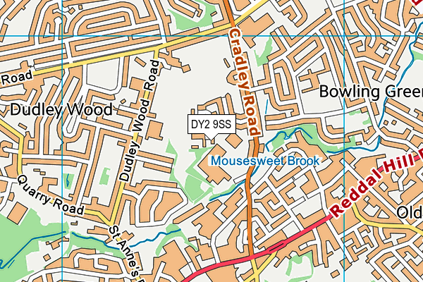 DY2 9SS map - OS VectorMap District (Ordnance Survey)