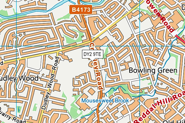DY2 9TE map - OS VectorMap District (Ordnance Survey)