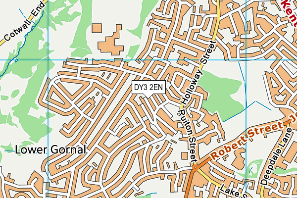 DY3 2EN map - OS VectorMap District (Ordnance Survey)