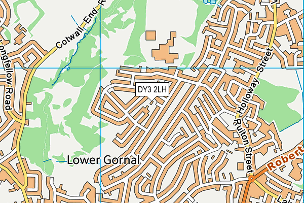 DY3 2LH map - OS VectorMap District (Ordnance Survey)