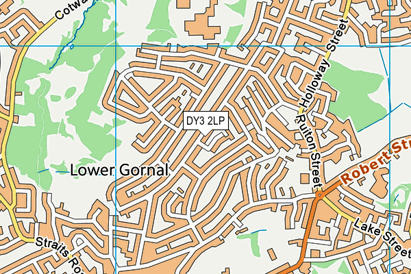 DY3 2LP map - OS VectorMap District (Ordnance Survey)