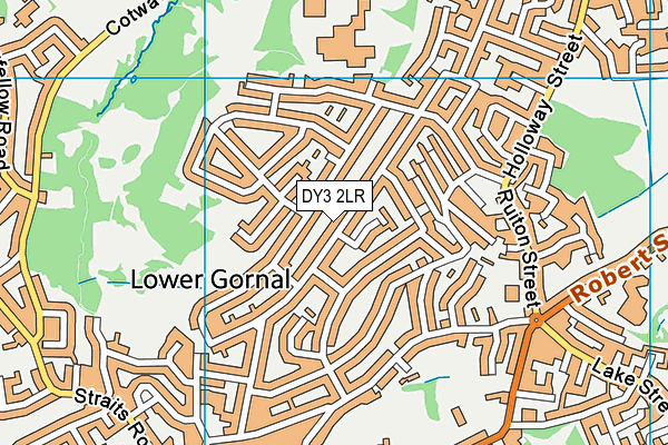 DY3 2LR map - OS VectorMap District (Ordnance Survey)