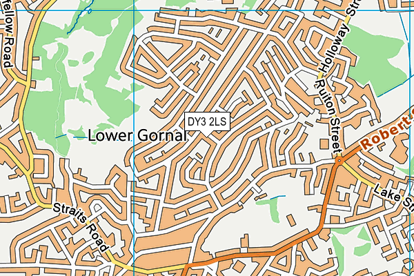 DY3 2LS map - OS VectorMap District (Ordnance Survey)