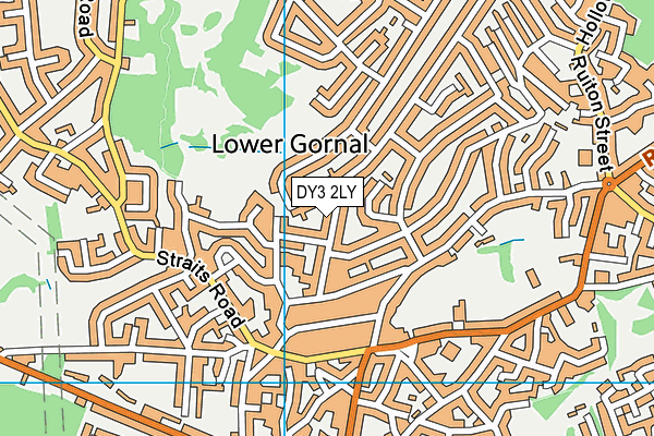 DY3 2LY map - OS VectorMap District (Ordnance Survey)