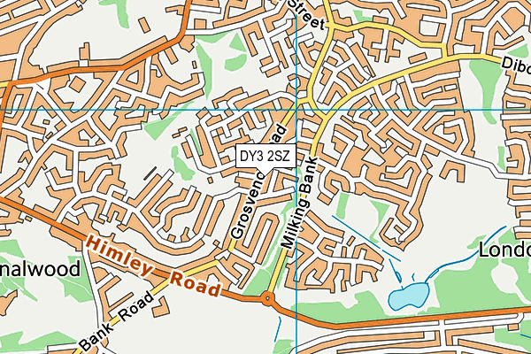 DY3 2SZ map - OS VectorMap District (Ordnance Survey)