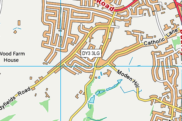 DY3 3LG map - OS VectorMap District (Ordnance Survey)