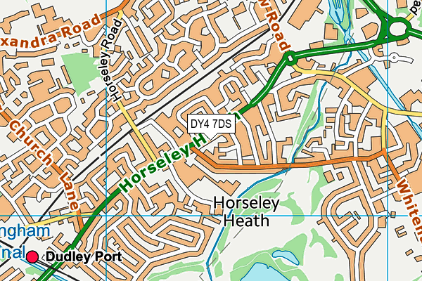 DY4 7DS map - OS VectorMap District (Ordnance Survey)