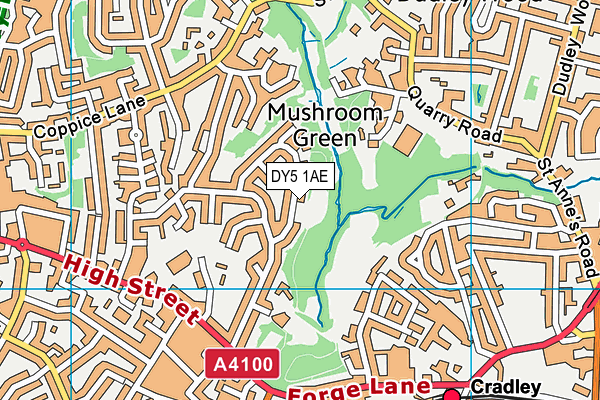 DY5 1AE map - OS VectorMap District (Ordnance Survey)