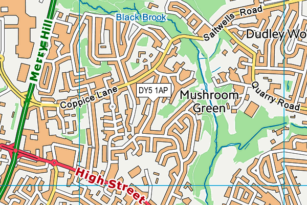 DY5 1AP map - OS VectorMap District (Ordnance Survey)