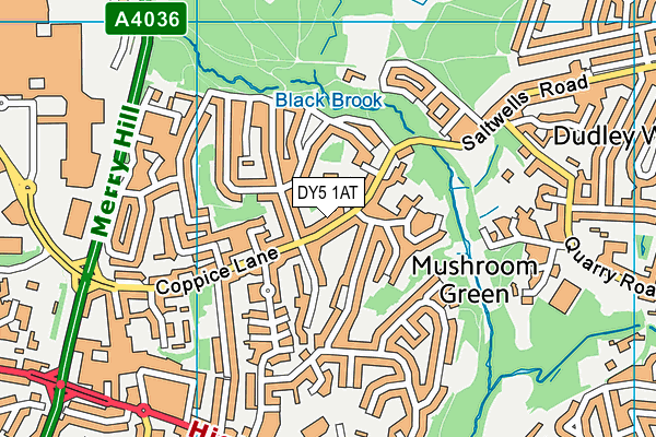 DY5 1AT map - OS VectorMap District (Ordnance Survey)