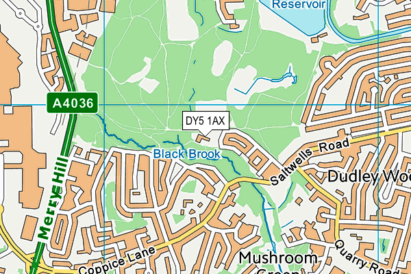 DY5 1AX map - OS VectorMap District (Ordnance Survey)