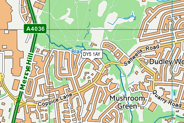DY5 1AY map - OS VectorMap District (Ordnance Survey)