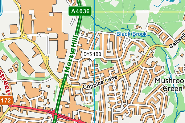 DY5 1BB map - OS VectorMap District (Ordnance Survey)