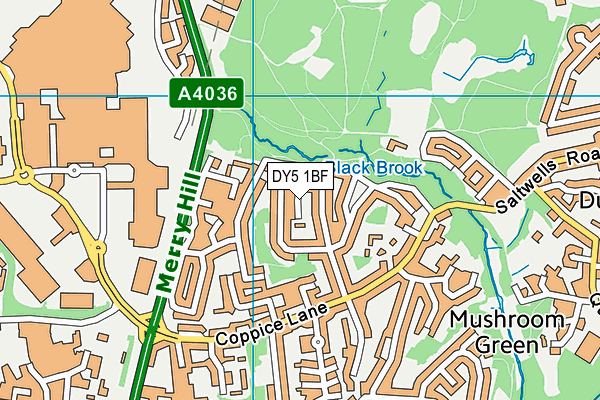 DY5 1BF map - OS VectorMap District (Ordnance Survey)