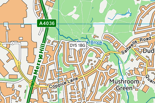 DY5 1BG map - OS VectorMap District (Ordnance Survey)