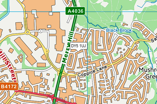 DY5 1UJ map - OS VectorMap District (Ordnance Survey)