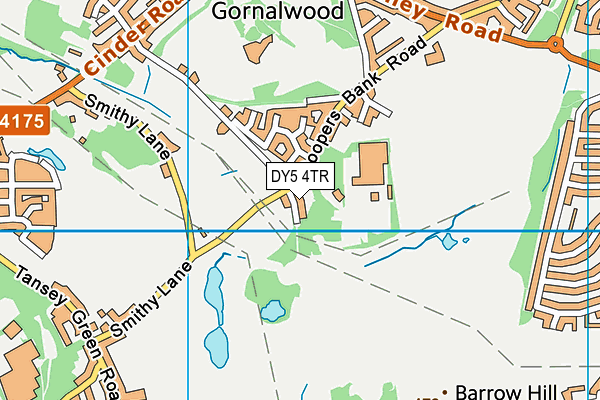 DY5 4TR map - OS VectorMap District (Ordnance Survey)