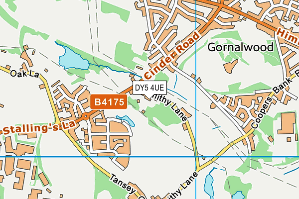 DY5 4UE map - OS VectorMap District (Ordnance Survey)