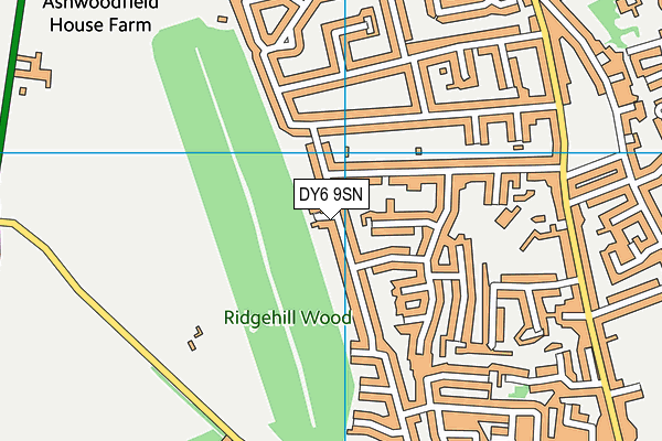 DY6 9SN map - OS VectorMap District (Ordnance Survey)