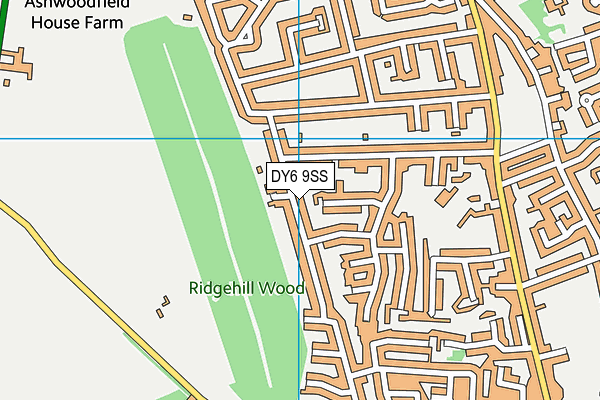 DY6 9SS map - OS VectorMap District (Ordnance Survey)