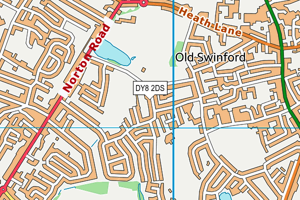 DY8 2DS map - OS VectorMap District (Ordnance Survey)