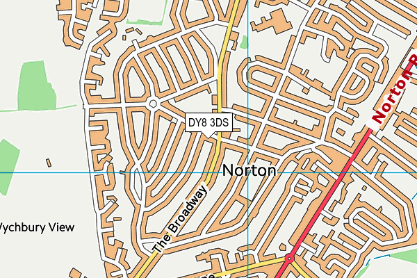 DY8 3DS map - OS VectorMap District (Ordnance Survey)