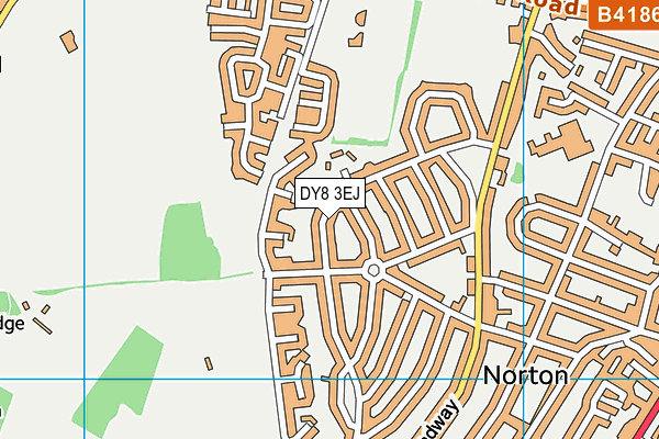 DY8 3EJ map - OS VectorMap District (Ordnance Survey)