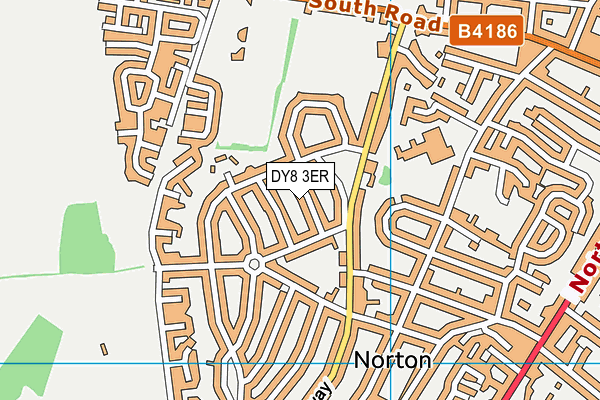 DY8 3ER map - OS VectorMap District (Ordnance Survey)