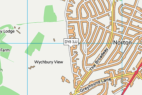 DY8 3JJ map - OS VectorMap District (Ordnance Survey)