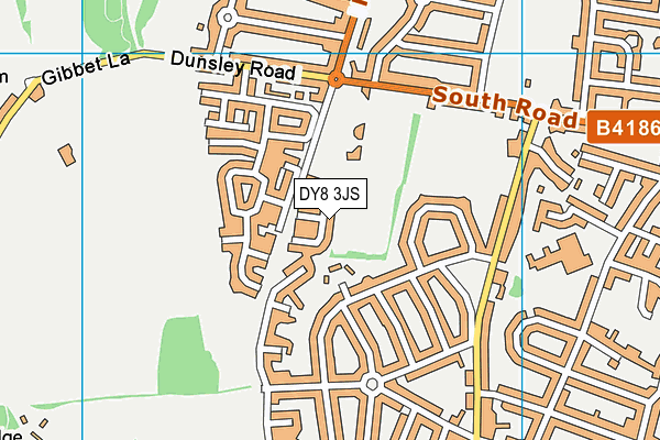 DY8 3JS map - OS VectorMap District (Ordnance Survey)