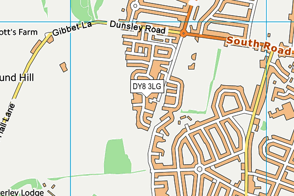 DY8 3LG map - OS VectorMap District (Ordnance Survey)
