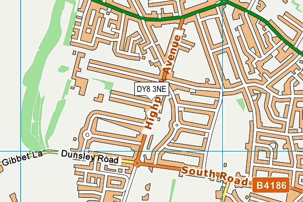 DY8 3NE map - OS VectorMap District (Ordnance Survey)