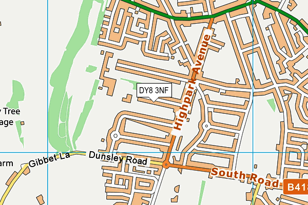 The Ridge Primary School map (DY8 3NF) - OS VectorMap District (Ordnance Survey)